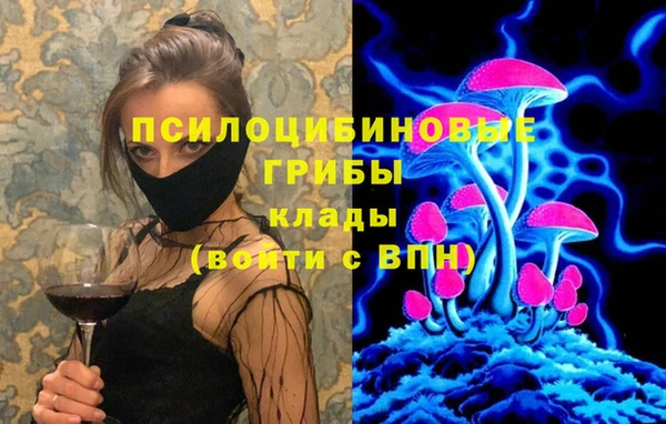 a pvp Алексин