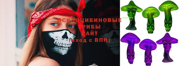 a pvp Алексин