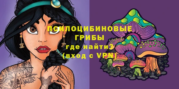 гашик Алзамай
