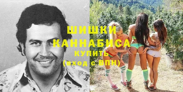 гашик Алзамай