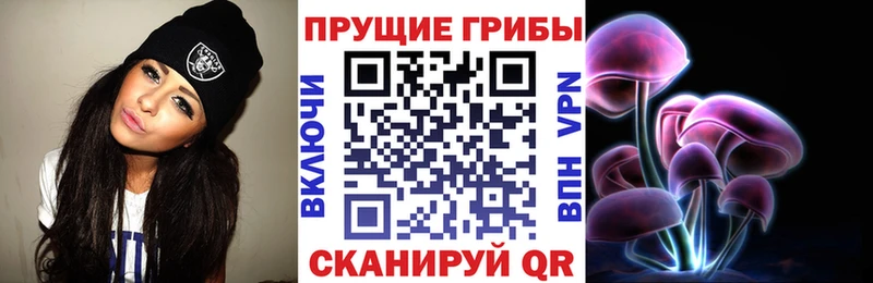 Галлюциногенные грибы Psilocybe  сайты даркнета телеграм  Нижнеудинск  сколько стоит 